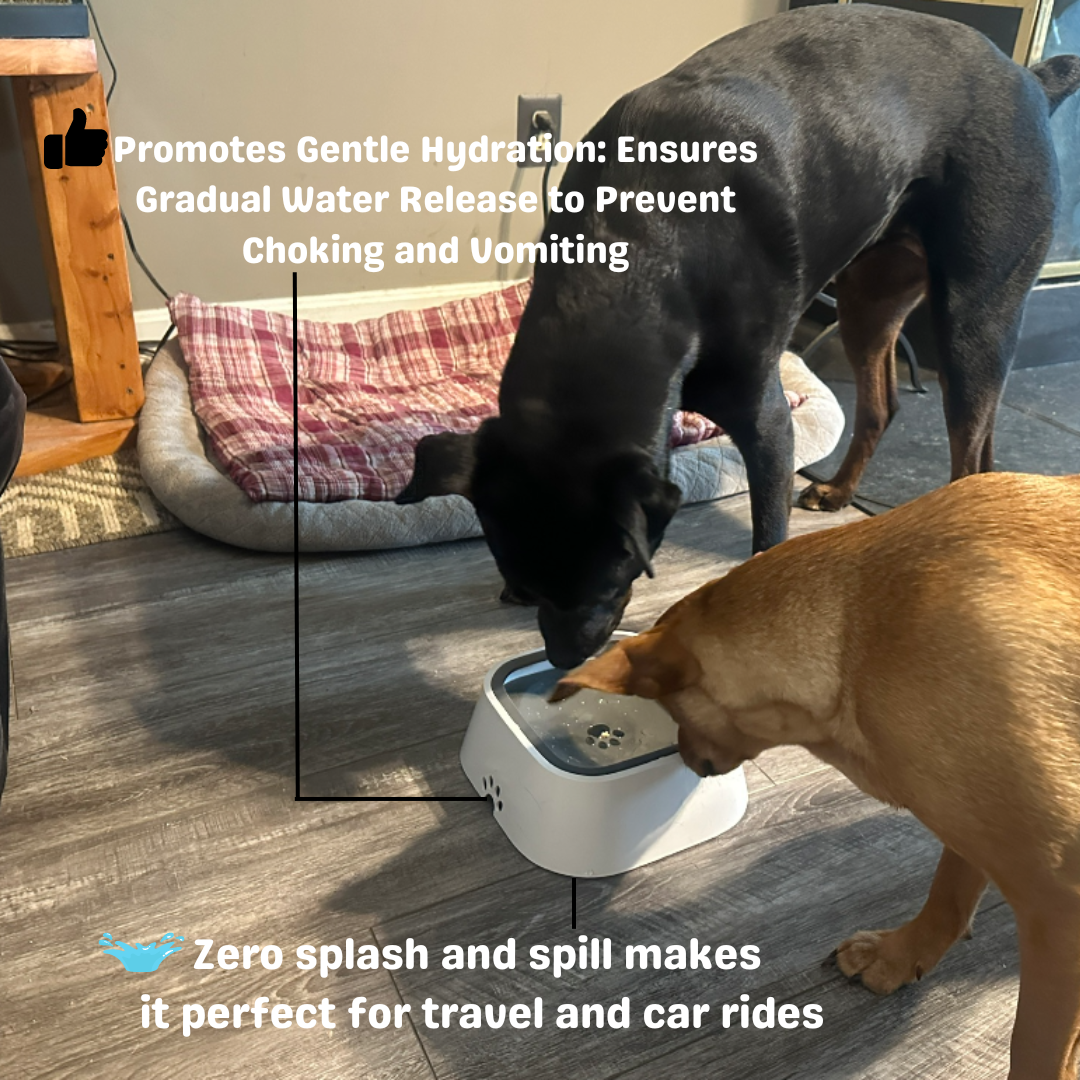 Fur our pets™ splash free water bowl