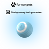 Fur our pets™ Automatic pet toy