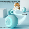 Fur our pets™ Automatic pet toy