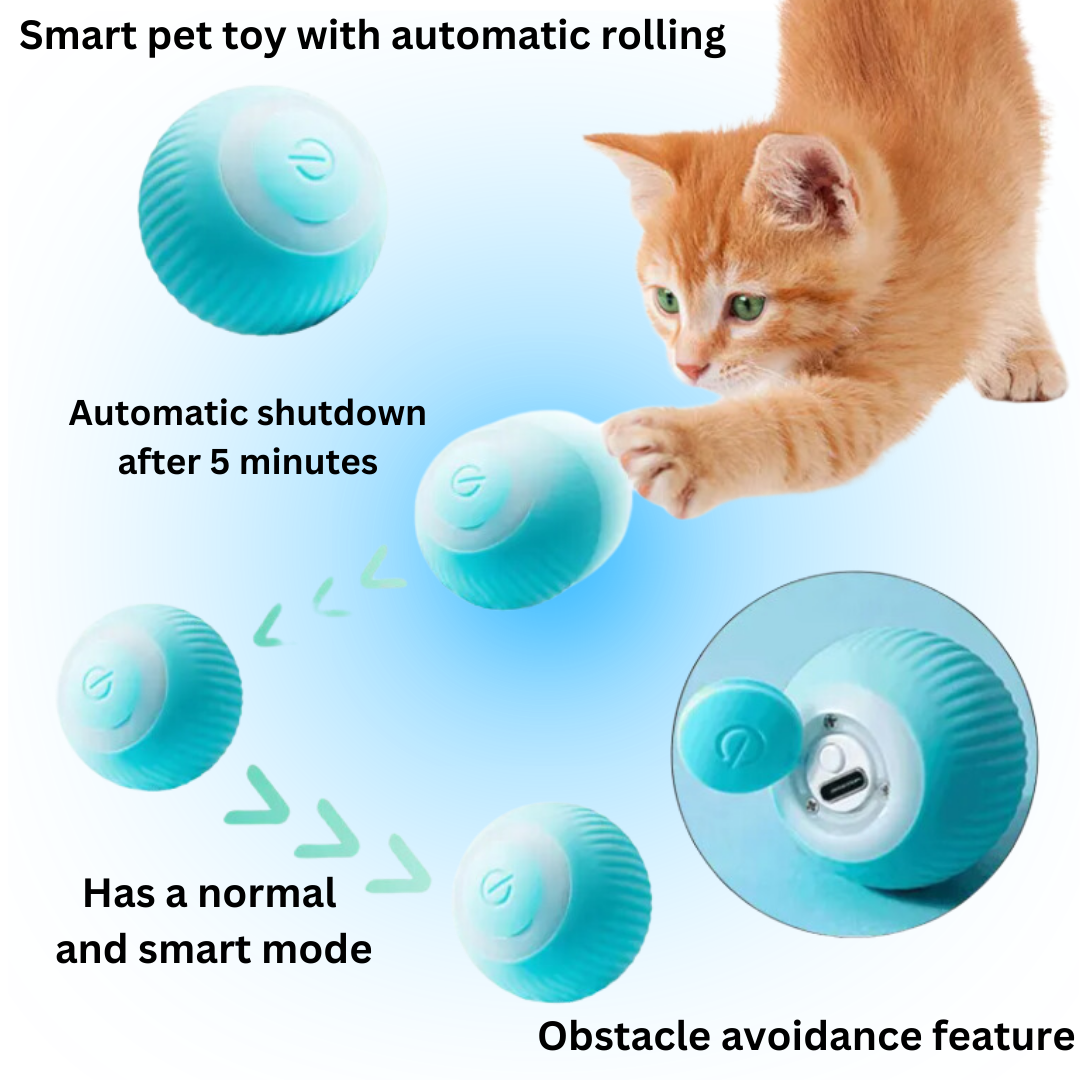 Fur our pets™ Automatic pet toy